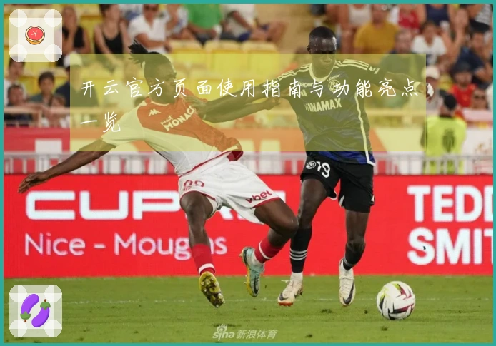 开云官方页面使用指南与功能亮点一览