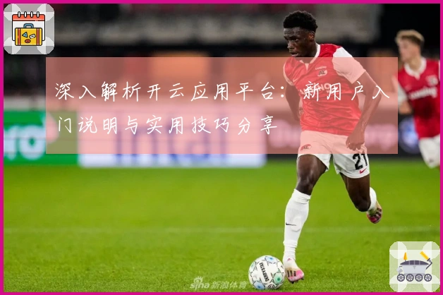深入解析开云应用平台：新用户入门说明与实用技巧分享