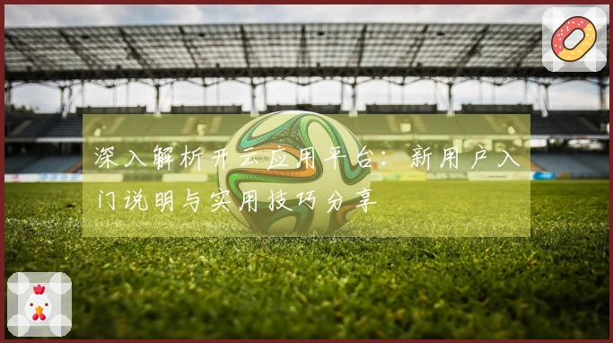 深入解析开云应用平台：新用户入门说明与实用技巧分享